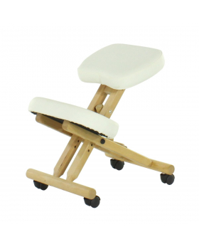 Стул для медицинских кабинетов "МА-04 татами ХIV-ДЛ"