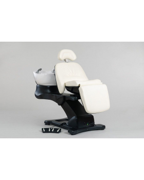 Мойка парикмахерская "Destiny"